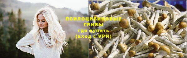 гидра Красноперекопск