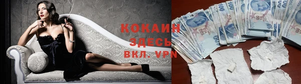ПСИЛОЦИБИНОВЫЕ ГРИБЫ Краснотурьинск