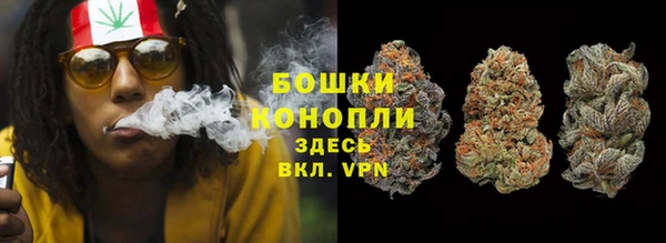 ПСИЛОЦИБИНОВЫЕ ГРИБЫ Краснотурьинск