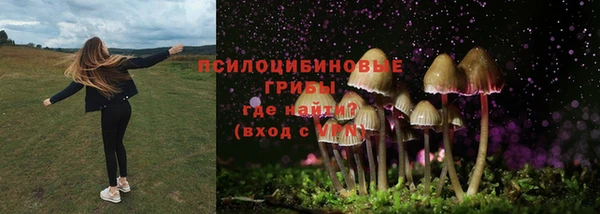 ПСИЛОЦИБИНОВЫЕ ГРИБЫ Краснотурьинск