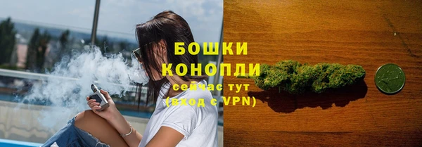 соль ск Краснослободск
