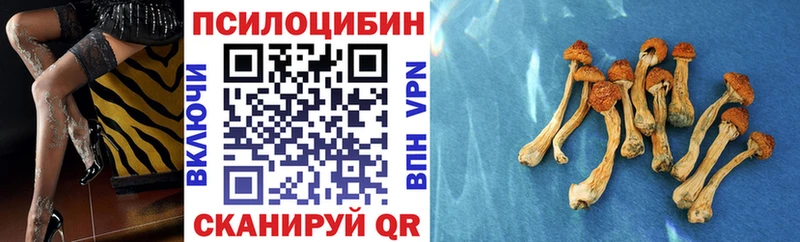 Псилоцибиновые грибы прущие грибы Купить Голицыно